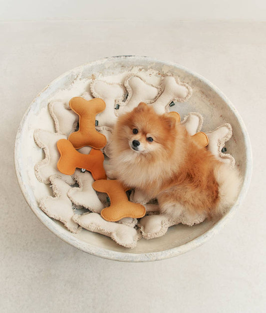 Cafide - Hondenspeelgoed in de vorm van een mosterd, Play